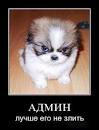 Admin